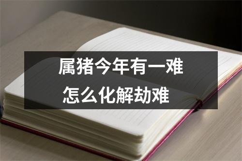 属猪今年有一难怎么化解劫难