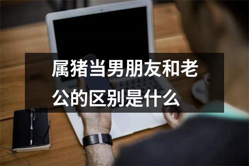 属猪当男朋友和老公的区别是什么