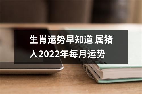 生肖运势早知道属猪人2025年每月运势