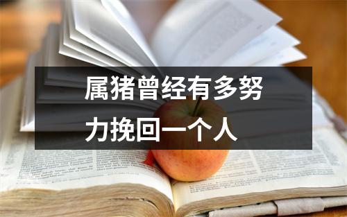 属猪曾经有多努力挽回一个人