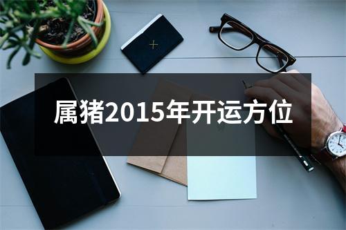 属猪2015年开运方位