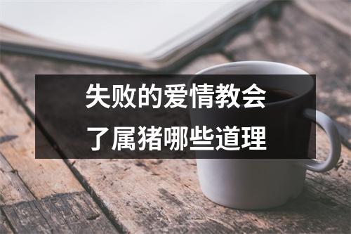 失败的爱情教会了属猪哪些道理
