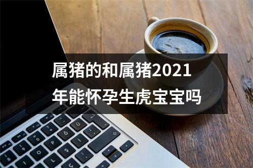 属猪的和属猪2025年能怀孕生虎宝宝吗