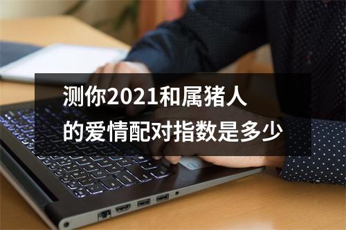 测你2025和属猪人的爱情配对指数是多少