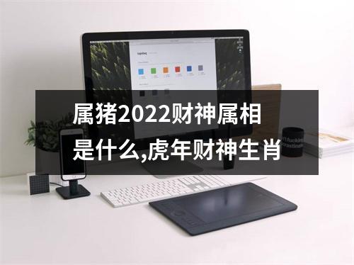 <h3>属猪2025财神属相是什么,虎年财神生肖