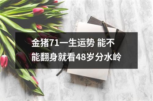 金猪71一生运势能不能翻身就看48岁分水岭