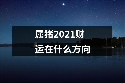 属猪2025财运在什么方向