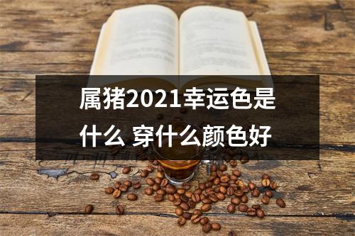 属猪2025幸运色是什么穿什么颜色好