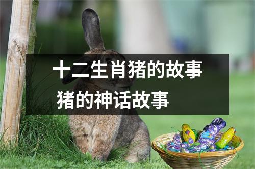 十二生肖猪的故事猪的神话故事