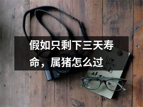 假如只剩下三天寿命，属猪怎么过