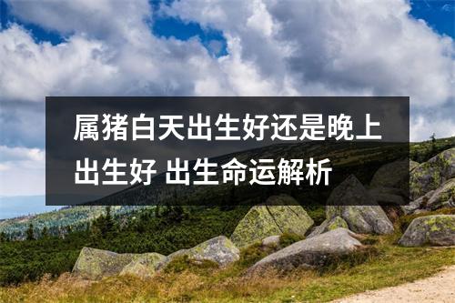 属猪白天出生好还是晚上出生好出生命运解析