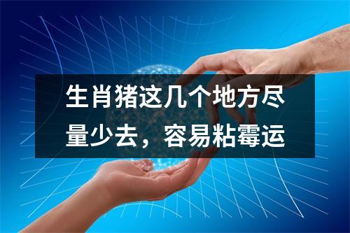 生肖猪这几个地方尽量少去，容易粘霉运