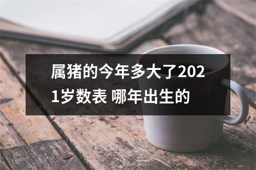 属猪的今年多大了2025岁数表哪年出生的