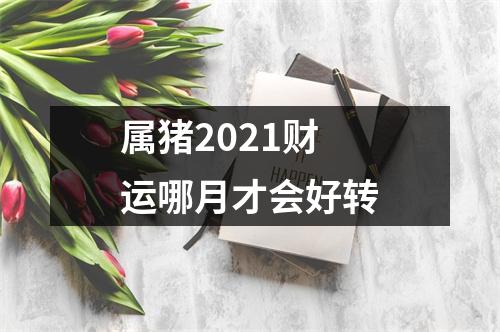 属猪2025财运哪月才会好转