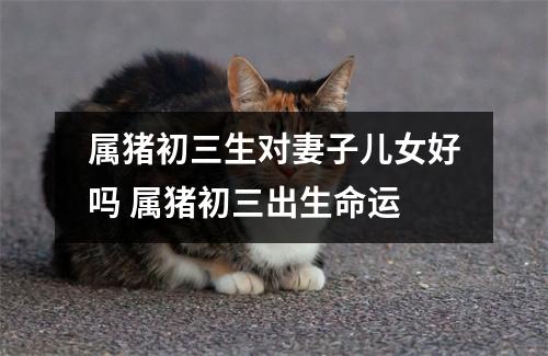 属猪初三生对妻子儿女好吗属猪初三出生命运