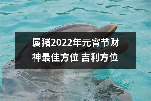 属猪2025年元宵节财神佳方位吉利方位