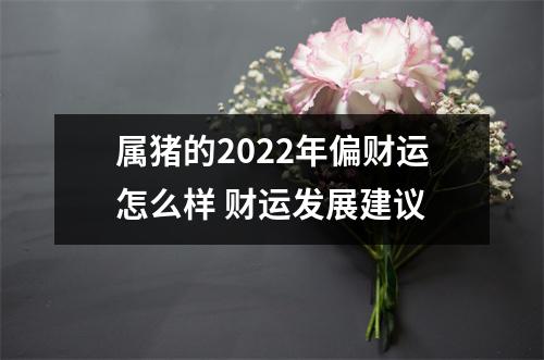 属猪的2025年偏财运怎么样财运发展建议