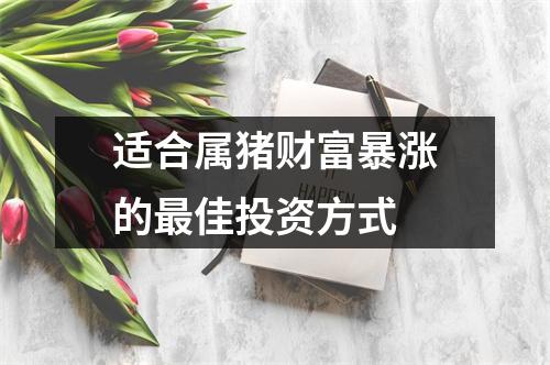 适合属猪财富暴涨的佳投资方式