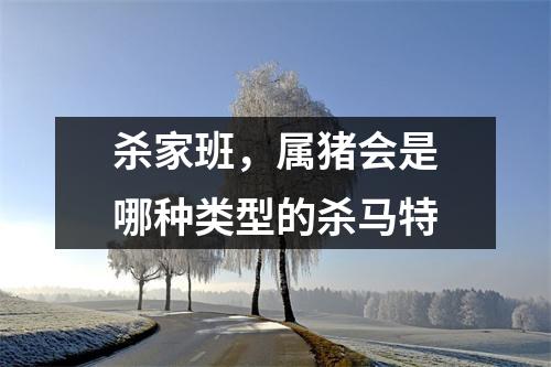 杀家班，属猪会是哪种类型的杀马特