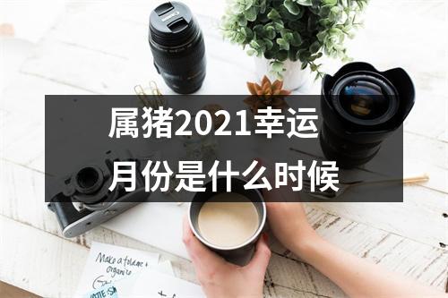 属猪2025幸运月份是什么时候