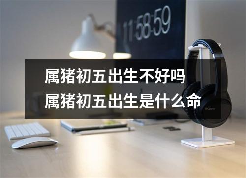 属猪初五出生不好吗属猪初五出生是什么命