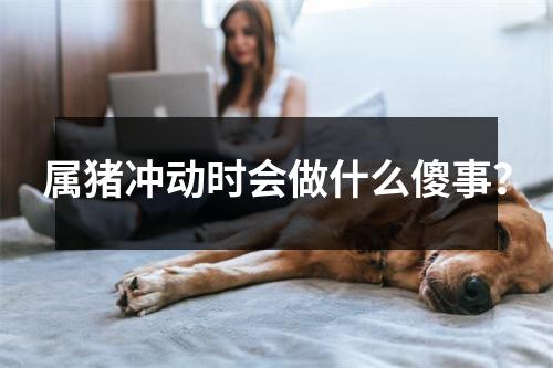 属猪冲动时会做什么傻事？