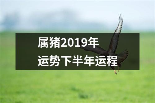 属猪2019年运势下半年运程
