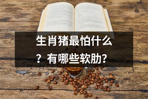 生肖猪怕什么？有哪些软肋？