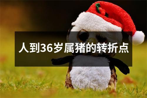 人到36岁属猪的转折点