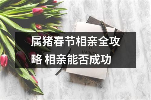 属猪春节相亲全攻略相亲能否成功
