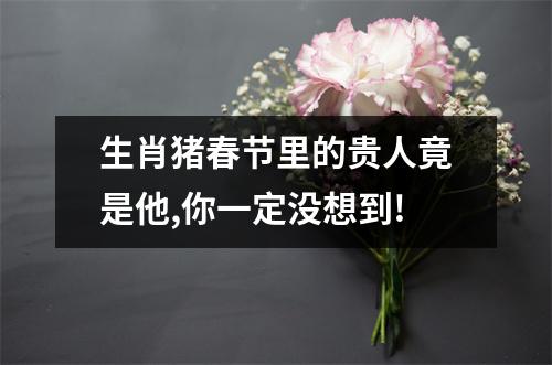 生肖猪春节里的贵人竟是他,你一定没想到!