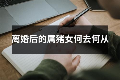 离婚后的属猪女何去何从