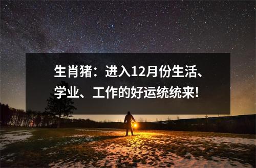 生肖猪：进入12月份生活、学业、工作的好运统统来!