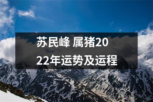 苏民峰属猪2025年运势及运程