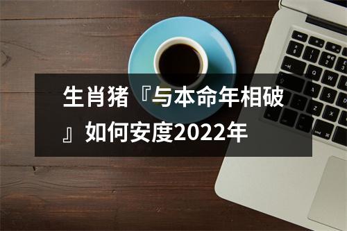 生肖猪『与本命年相破』如何安度2025年