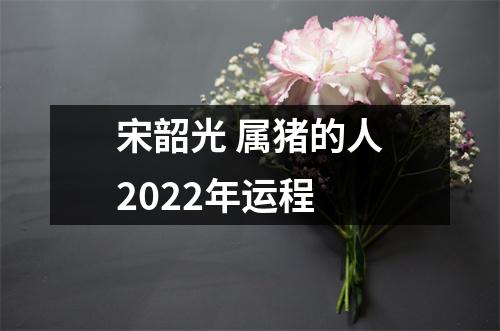 宋韶光属猪的人2025年运程