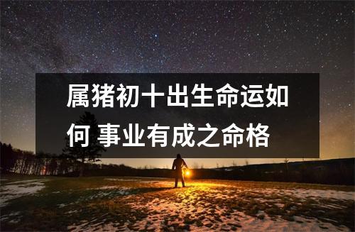 属猪初十出生命运如何事业有成之命格