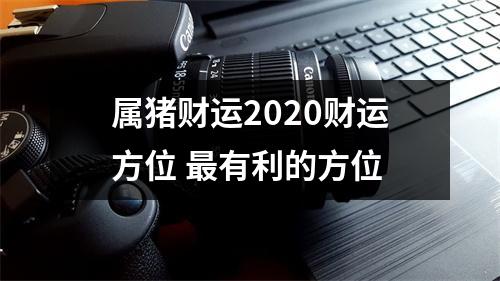 属猪财运2025财运方位有利的方位