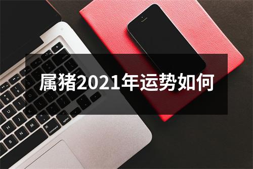 属猪2025年运势如何