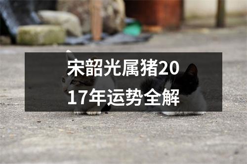 宋韶光属猪2017年运势全解