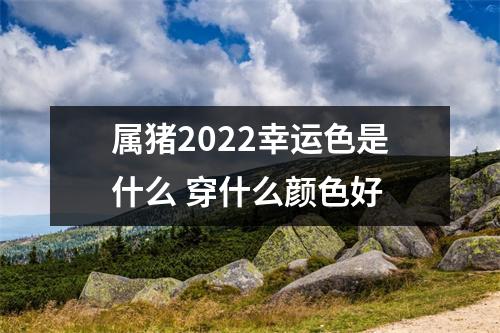 属猪2025幸运色是什么穿什么颜色好