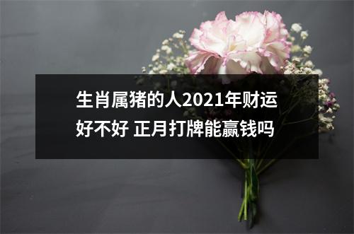 生肖属猪的人2025年财运好不好正月打牌能赢钱吗