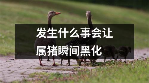 发生什么事会让属猪瞬间黑化
