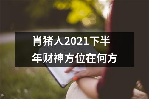 肖猪人2025下半年财神方位在何方