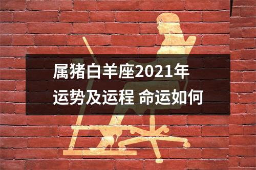属猪白羊座2025年运势及运程命运如何