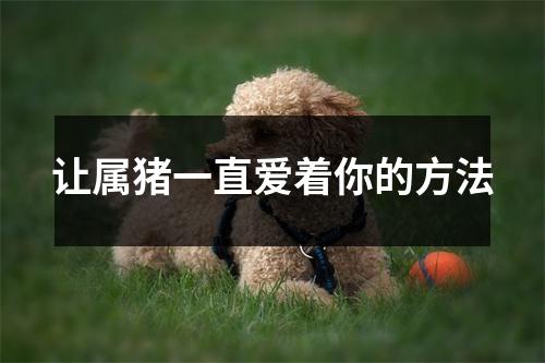 让属猪一直爱着你的方法