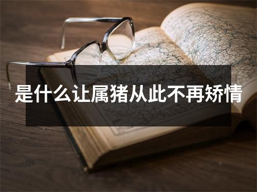 是什么让属猪从此不再矫情