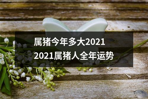 属猪今年多大20252025属猪人全年运势