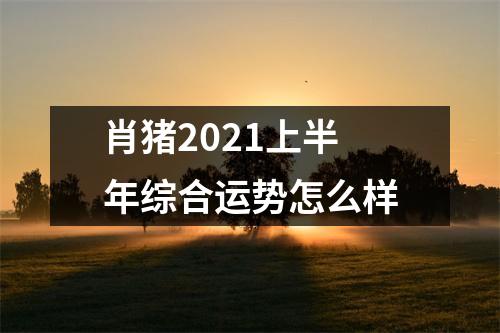 肖猪2025上半年综合运势怎么样