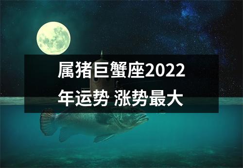 属猪巨蟹座2025年运势涨势大